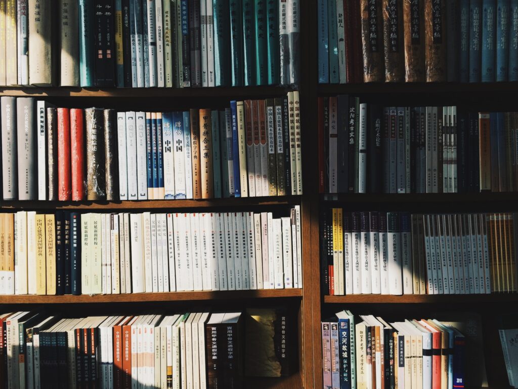 traditional publishing books on shelves - Photo by CHUTTERSNAP on Unsplash