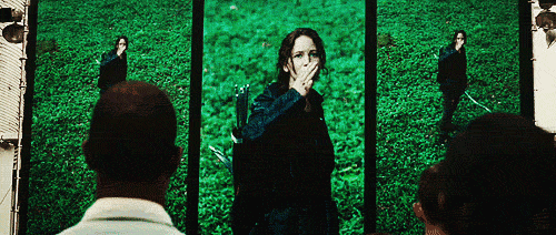 Katniss Everdene - The Outlaw archetype