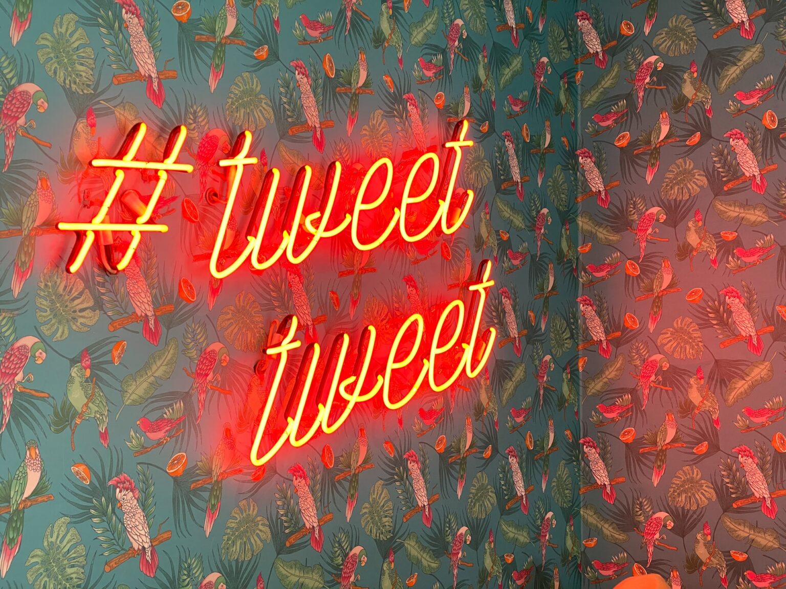 A Beginner’s Guide to Navigating Twitter Pitch Events Novlr