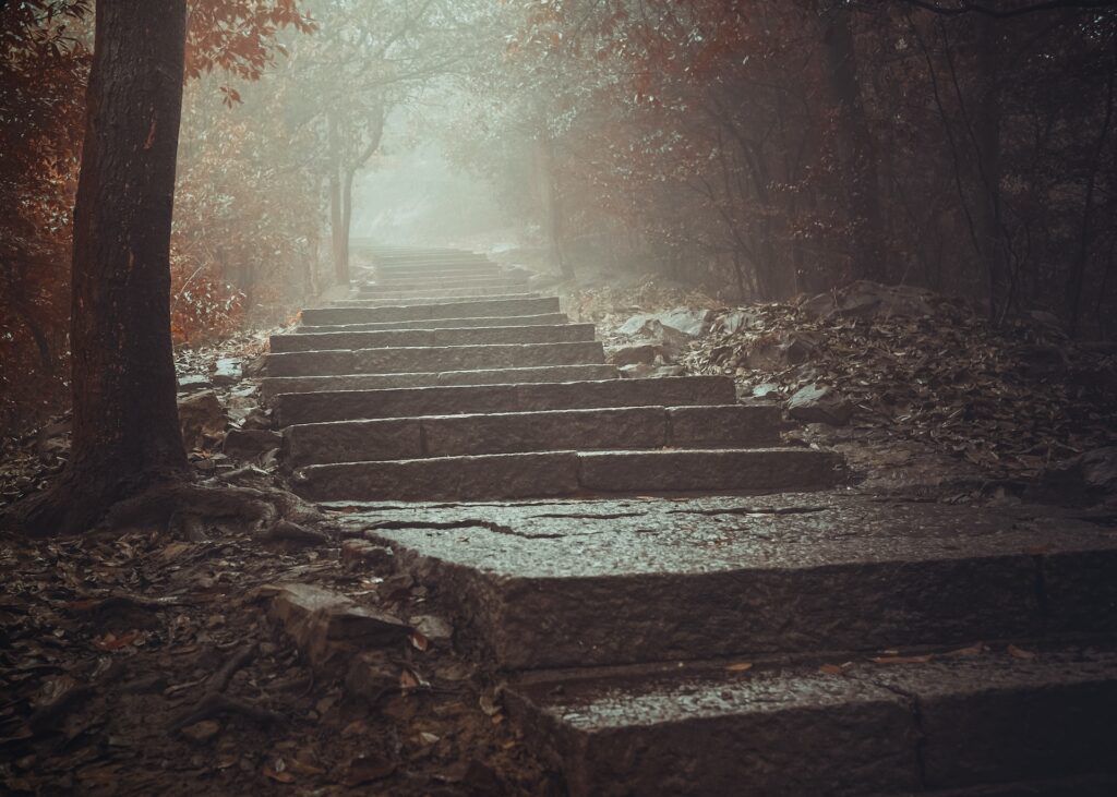 Write a novel in a year by developing your settings early - misty stairs in forest - Photo by he zhu on Unsplash